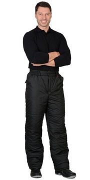 Брюки зимние "Сириус-Европа" (черный)
