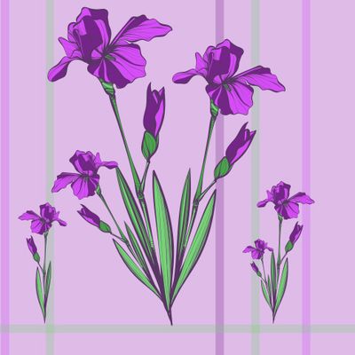Ирисы. Полосы