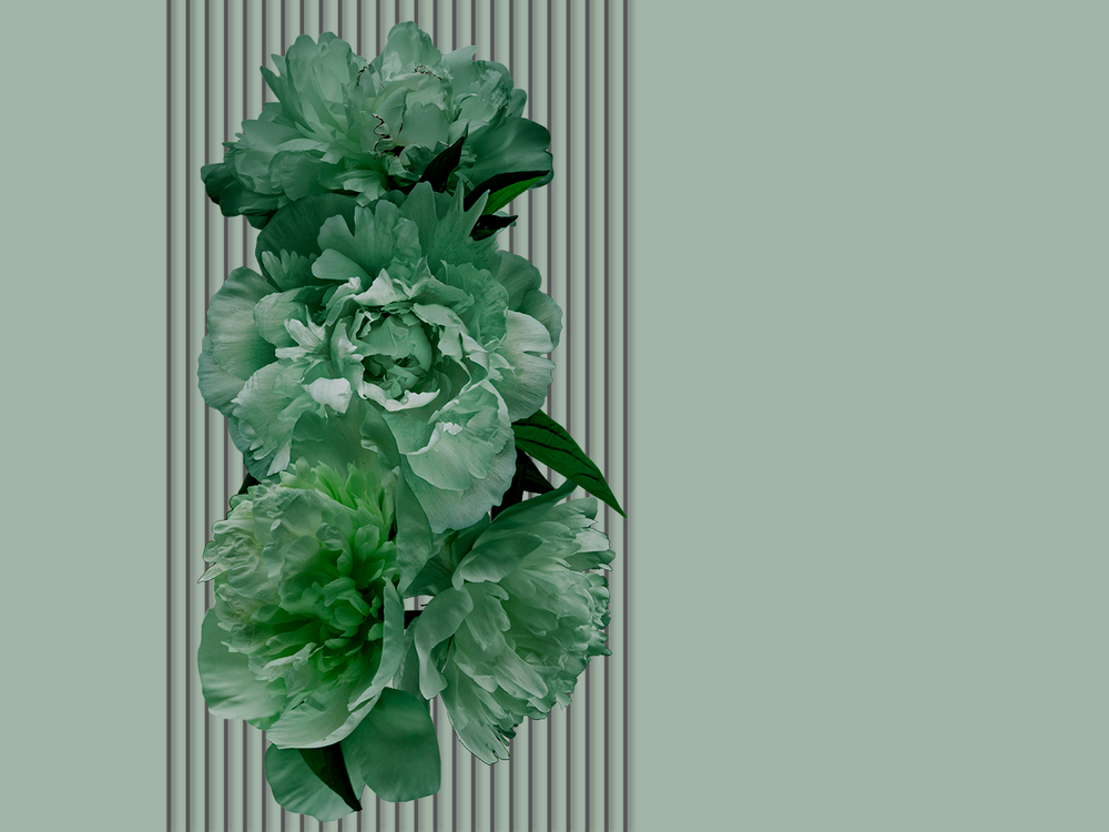 Коллекция GREENDAY 22