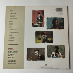 Винтажная виниловая пластинка LP Simply Red Picture Book (Germany 1985)