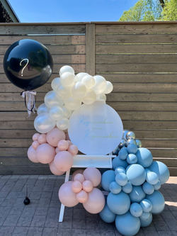 Фотозона 46 Гендер-пати