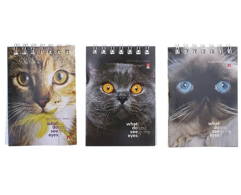 Блокнот А7 40л. клетка, на скрепке "Кошачий взгляд" 3 вида (Альт)