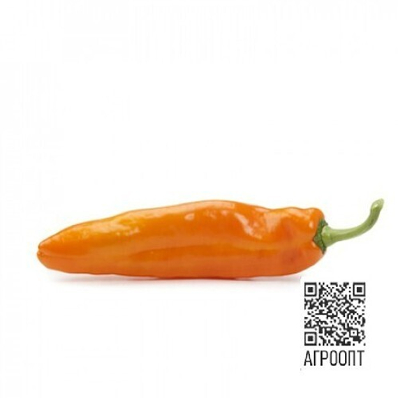 Палермо Обедиус F1 семена перца сладкого (Rijk Zwaan / ALEXAGRO) культура – фото 7