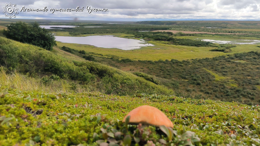 Путешествие на реку Тавайваам