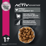 Сухой корм Eukanuba Adult Medium Breed 1+ years для взрослых собак средних пород от года и старше с курицей 15 кг