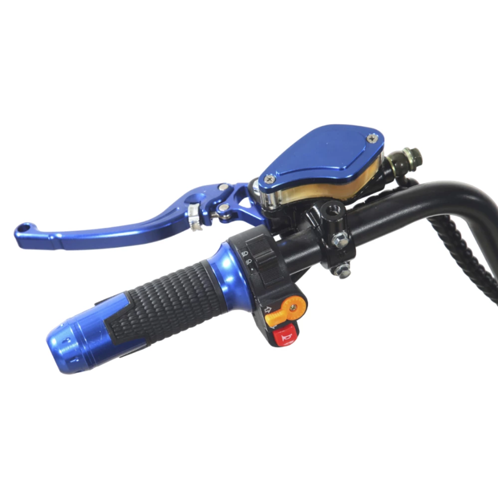 Электроскутер CityCoco Skyboard BR30-2WD (Ural) черный