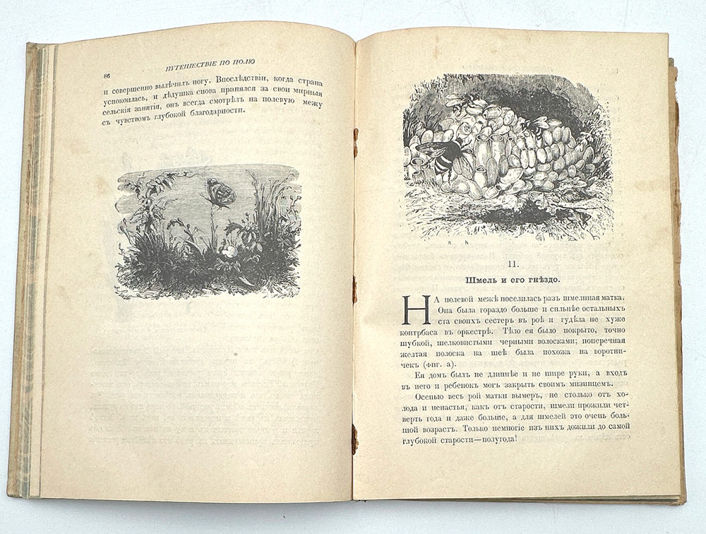 Вагнер Г. Путешествие по полю и ниве : Прогулка с молодыми друзьями Германа Вагнера . СПБ.-М. 1907