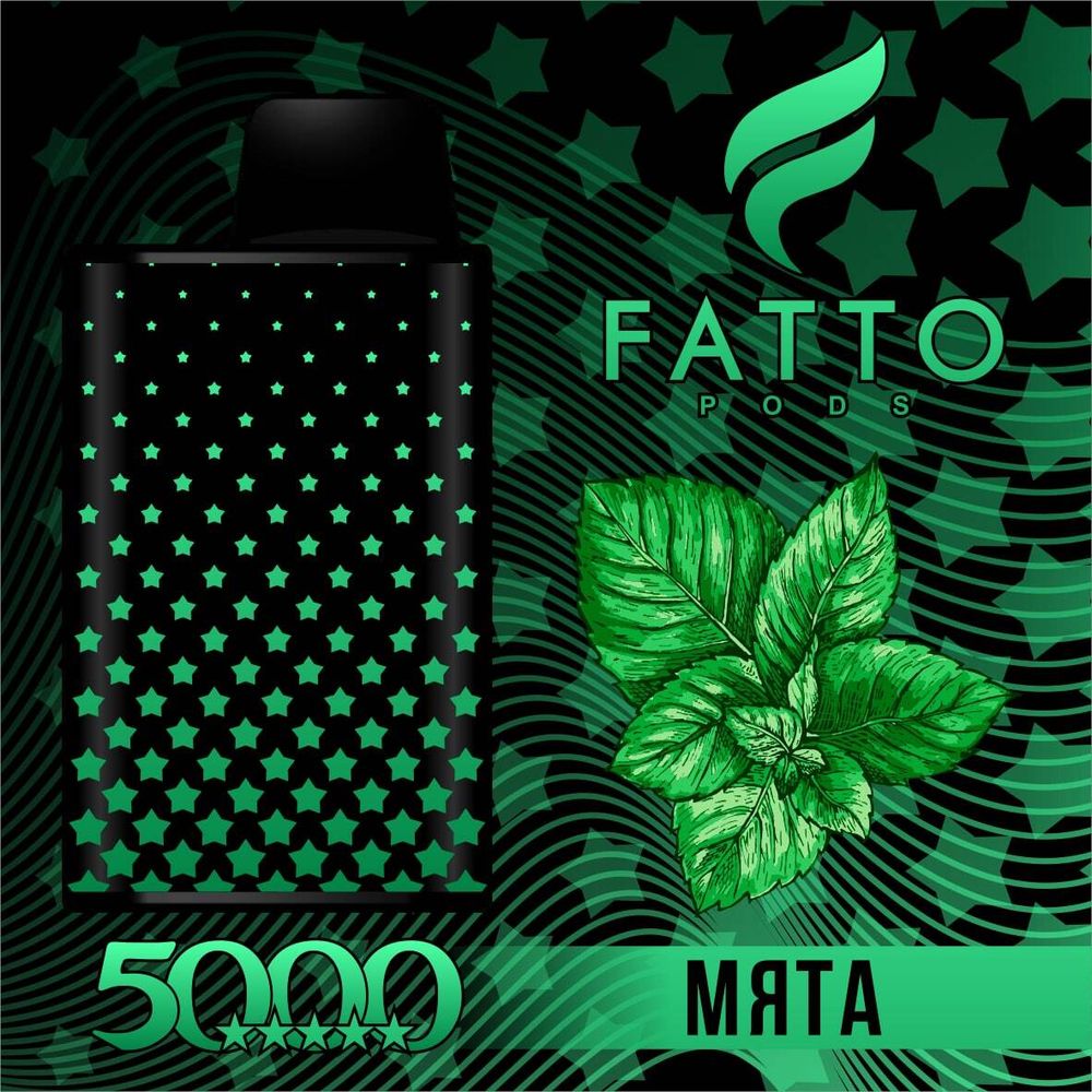 FATTO PODS 5 STAR - Mint (2% nic)