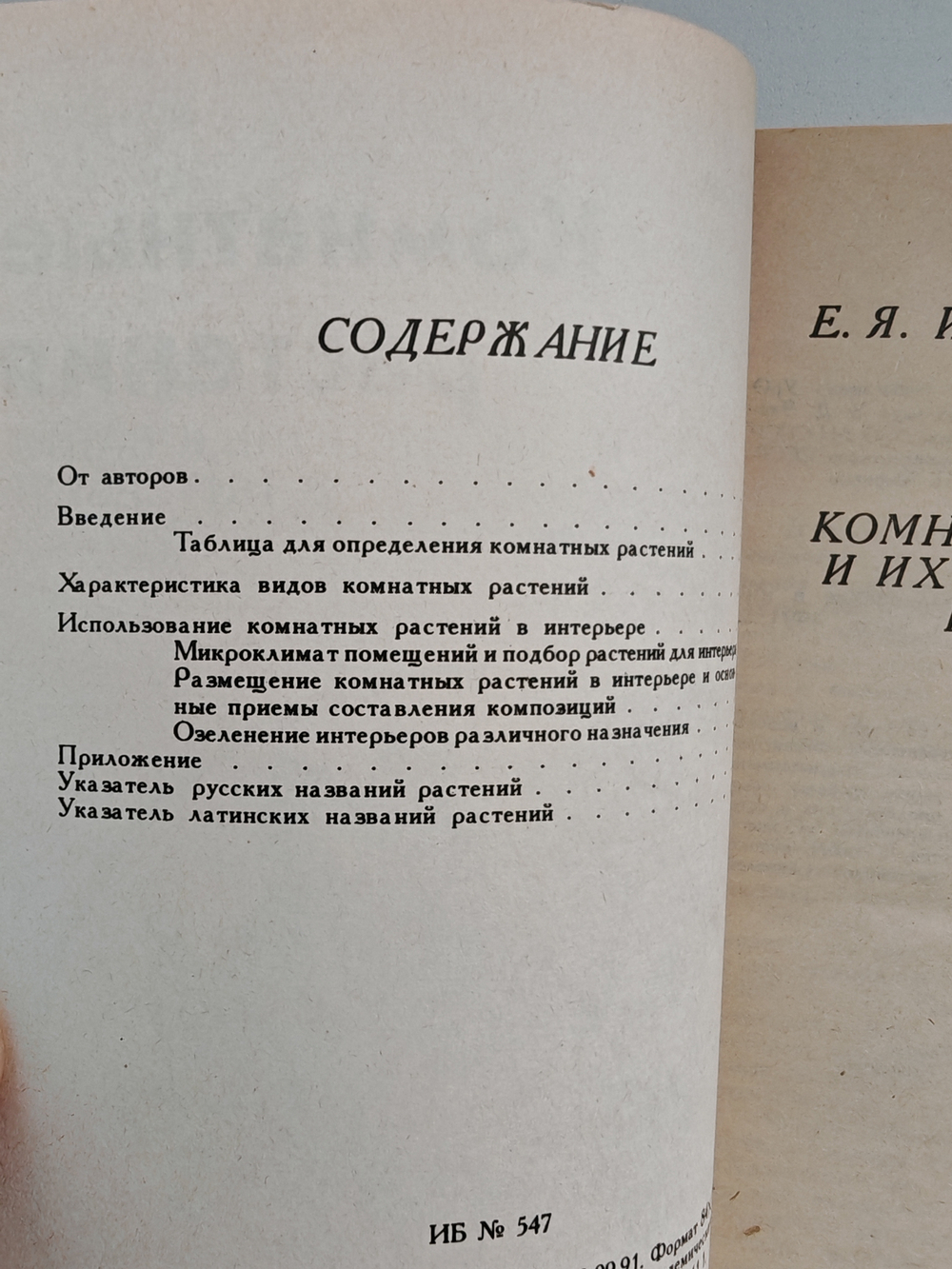 Комнатные растения и их использование в интерьере