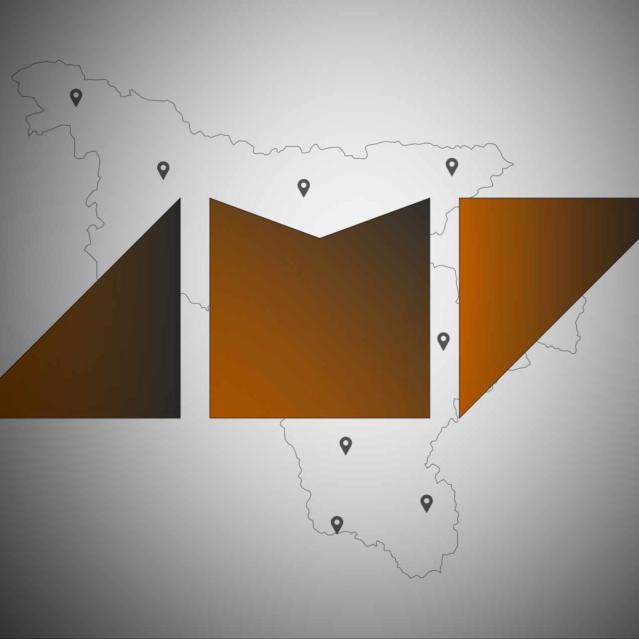 Доверьтесь профессионалам!