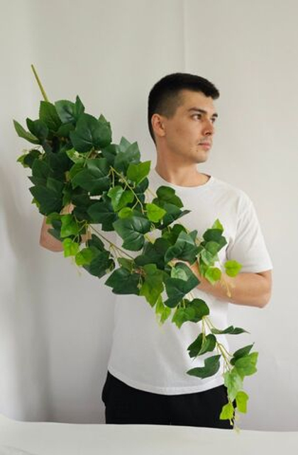 Плющ Тайс / Арт 4222