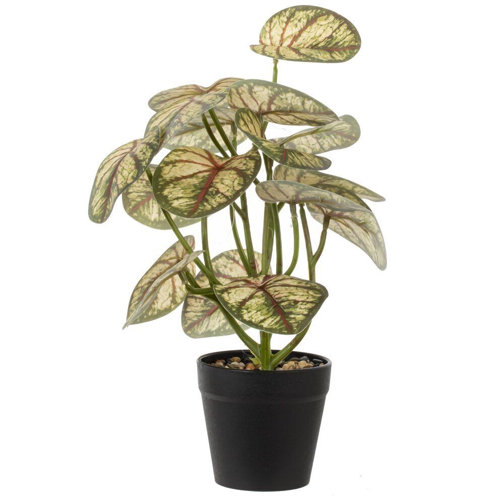 GAEM Цветочная композиция, L25 W25 H30 см, 5в.