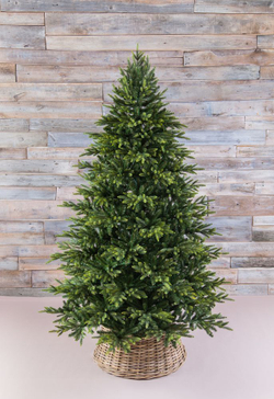 Ель Королевская Премиум 230см зеленая Triumph Tree