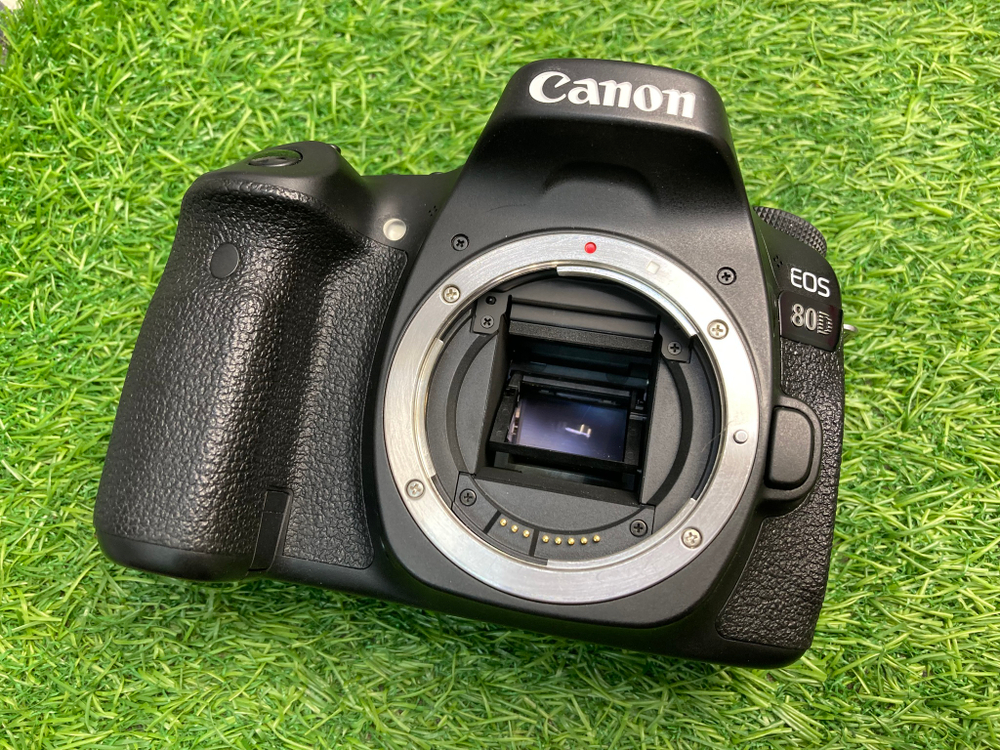 Canon 80D 100 кадров