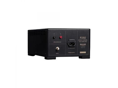 Усилитель для акустики Spotless Audio P250 Monoblock 1 шт