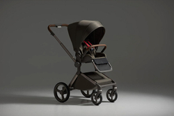 Детская коляска Anex Flo x Avionaut Cosmo 3 в 1 se-01 Cesar/ss-06 Black