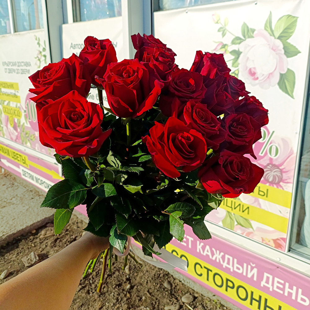 Букет 15 бордовых роз 60см под ленту