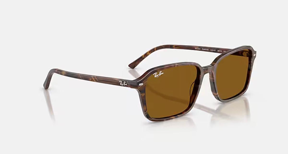 RAY-BAN RAIMOND RB2231 141833