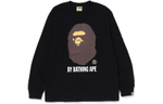 Толстовка A BATHING APE FW22 logo T, 1I80-111-012