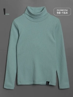 Водолазка для мальчика на осень школьная