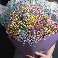 Bouquet of gypsophila flowers max