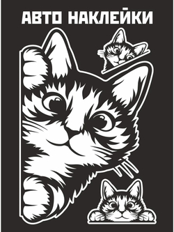 Наклейка на авто надпись с котом