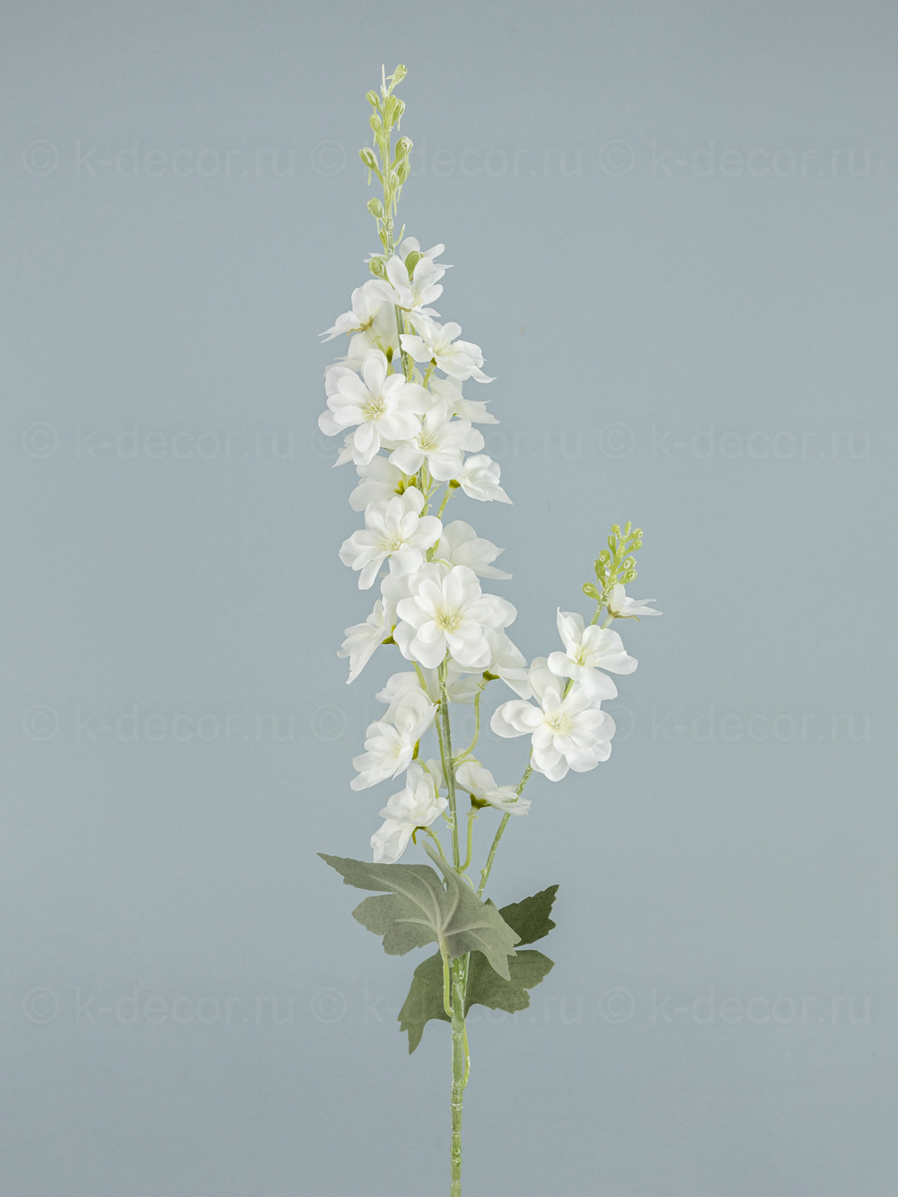 Дельфиниум Эстер