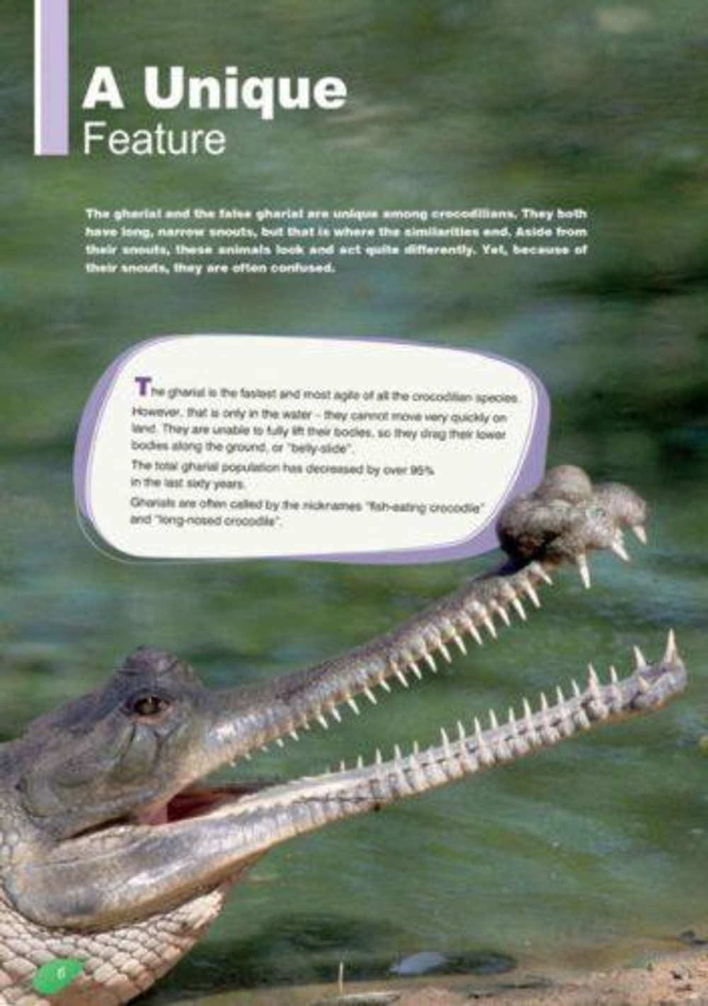 Gharial Crocodiles. Уровень B1 (7-9 класс) Книга для чтения c кодом доступа к электронному приложению
