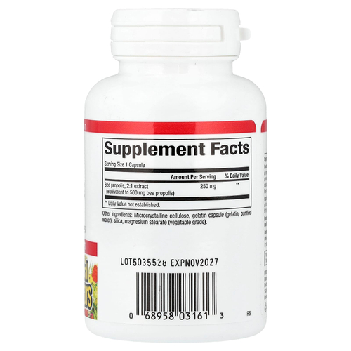 Natural Factors, пчелиный прополис, 500 мг, 90 капсул