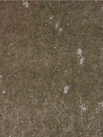 Обои чистый флизелин 227283 Tintura Textil Германия