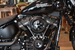 Softail® Street Bob® (FXBB), Harley-Davidson®  2019
