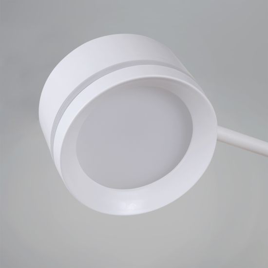 20590-0.3-8+1 White светильник потолочный