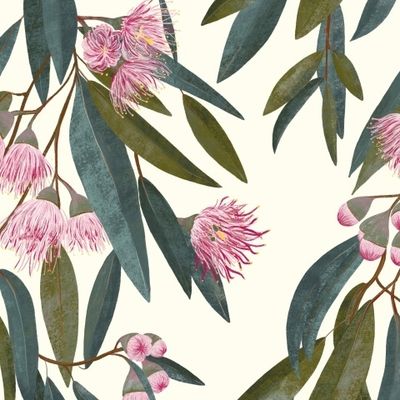 Розовый Австралийский Эвкалипт на кремовом фоне