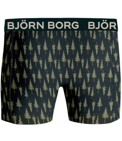 Мужские спортивные боксеры Björn Borg Core Boxer 2P - print