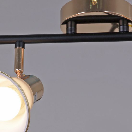 05901-0.8-04 BK+FGD светильник потолочный