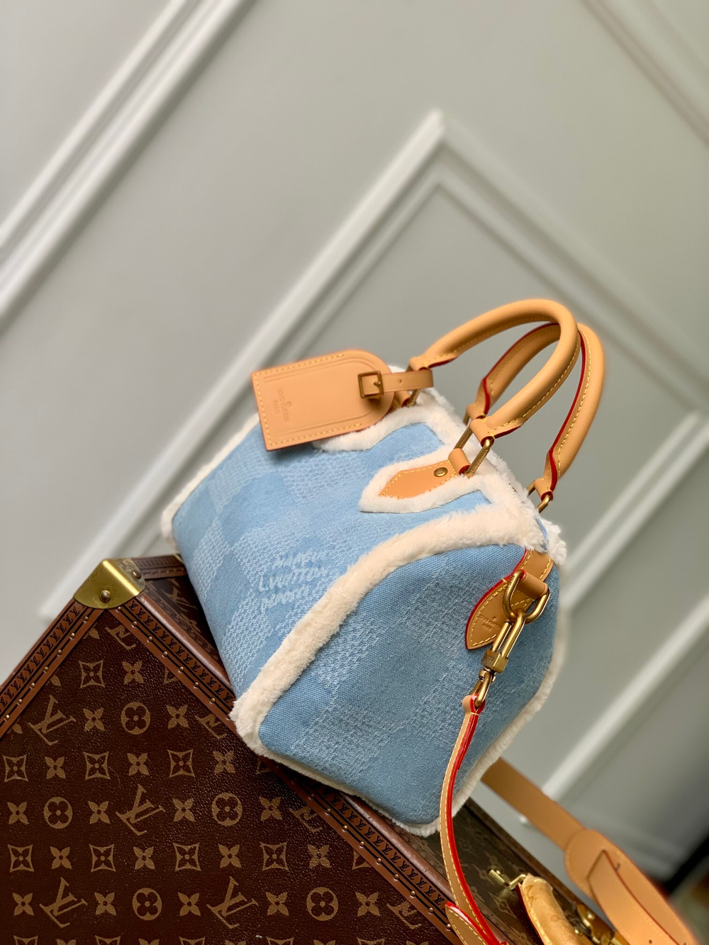 Louis Vuitton Speedy Bandouliere 25