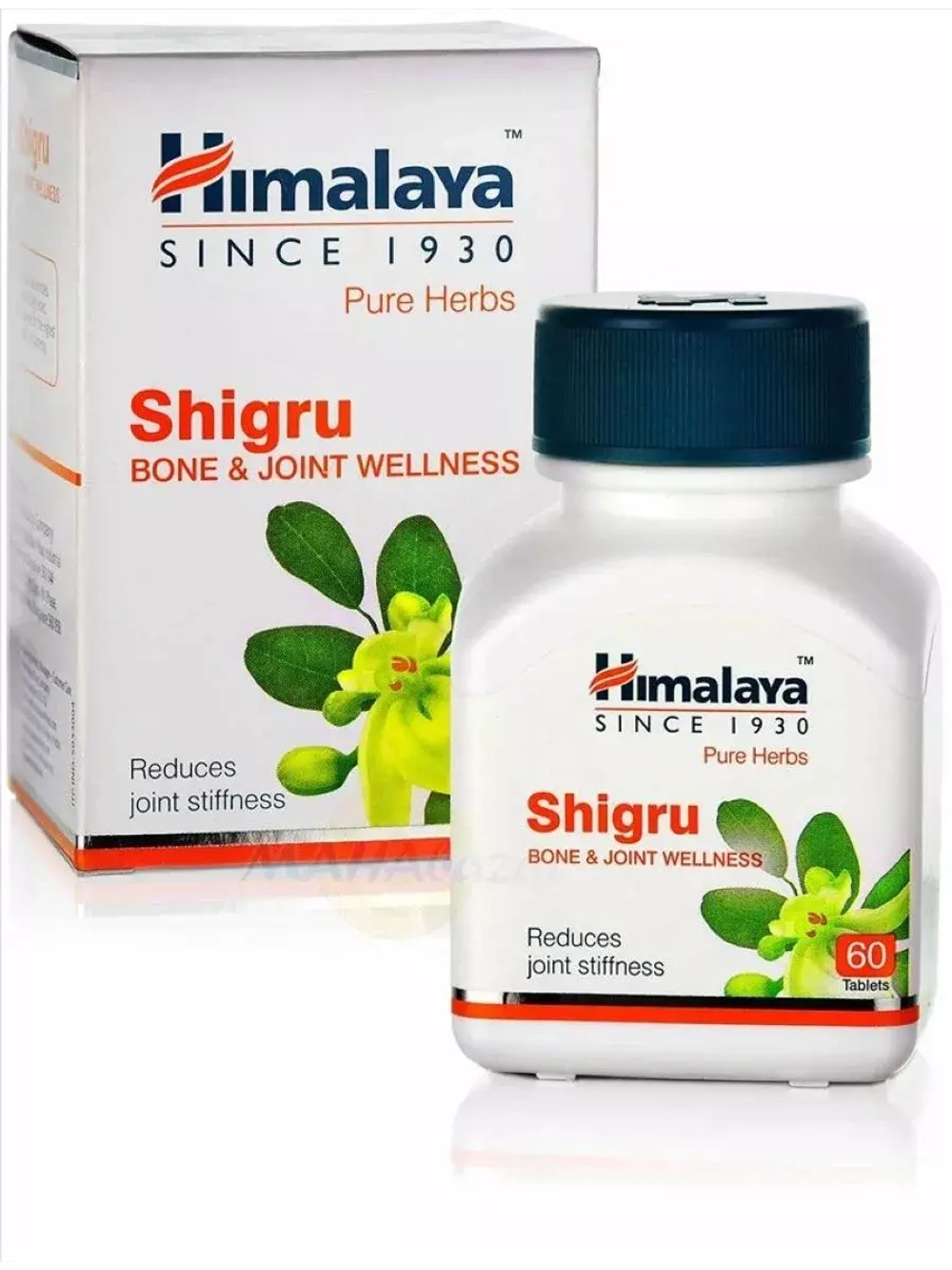 SHIGRU HIMALAYA Шигру для суставов 60 таб