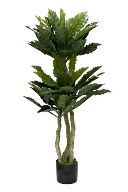 Папоротник гнездовой в горшке 150см Garda Decor