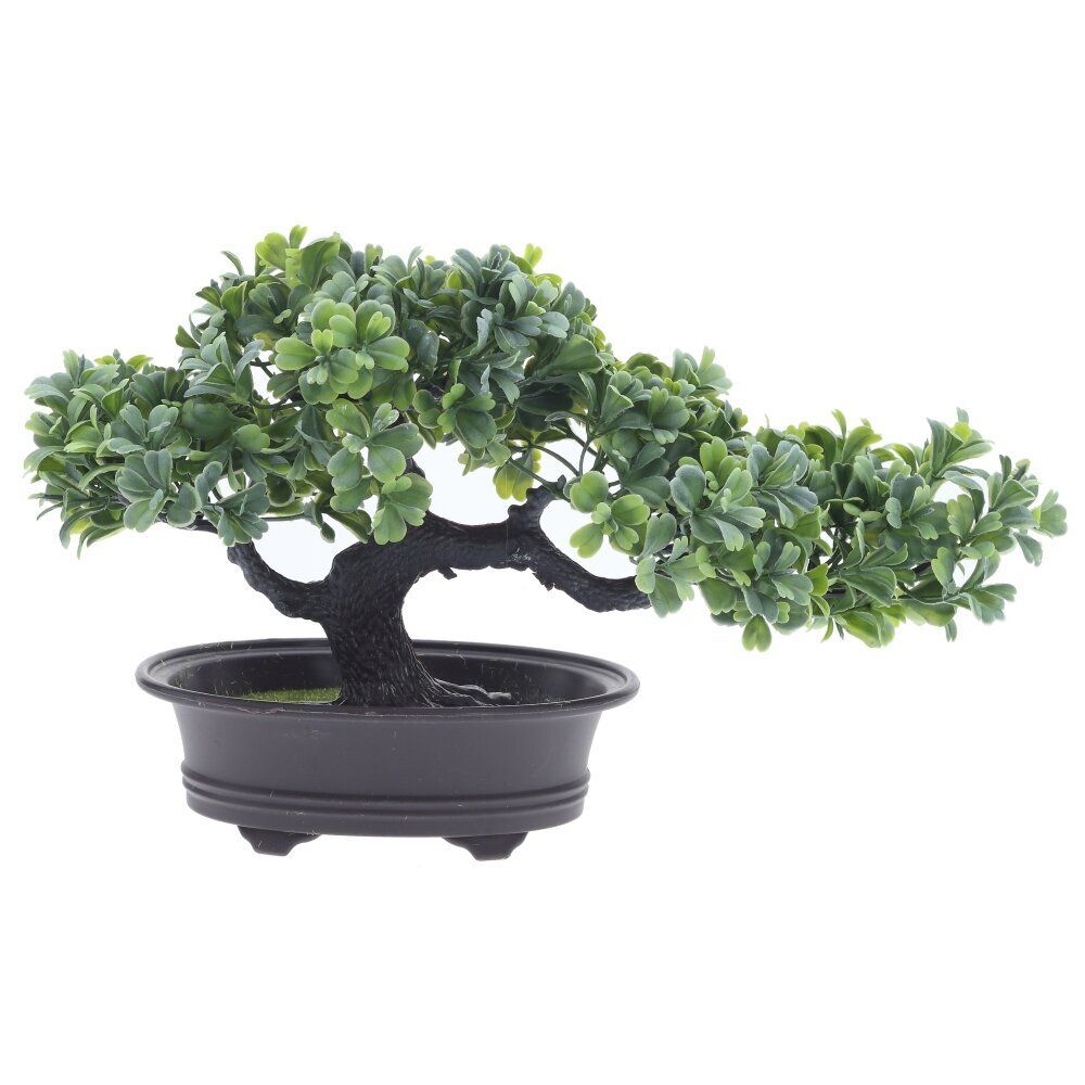 GAEM Цветочная композиция "Бонсай", L32 W13 H19 см