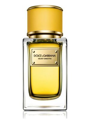 Dolce and Gabbana Velvet Ginestra