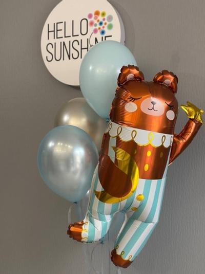 Набор шаров на выписку №22