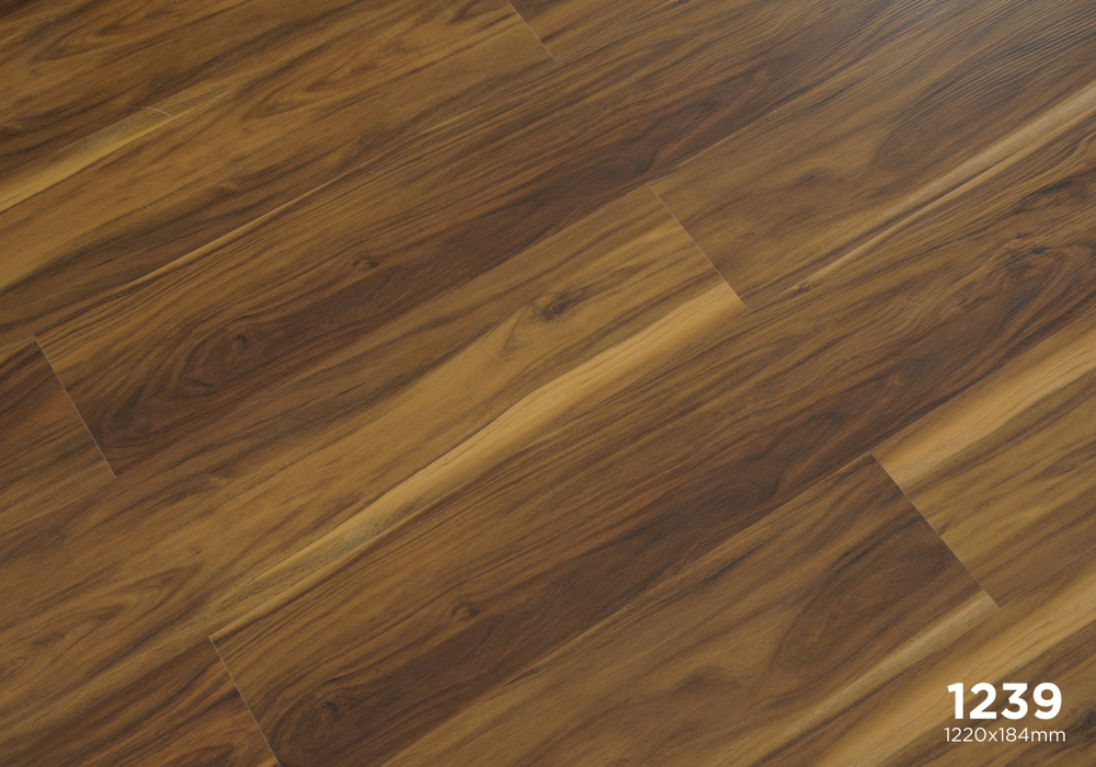 1239 Forest Collection SPC