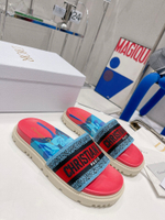 Christian Dior Dway Slide