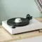 Analog Renaissance Mjöllnir Clamp White Gloss