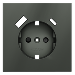 Накладка для розетки с заземлением и защитными шторками, с USB A+C, S70 (титан)