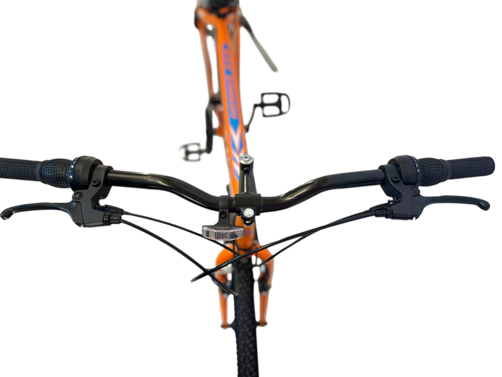 Велосипед Bike Dragon 29" 21скор (ст.рама,SunRun, Жесткая вилка, тормоз V-brake) BD-1-29-4 оранжевый