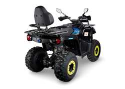 Квадроцикл AVANTIS Forester Long 200 Lux
