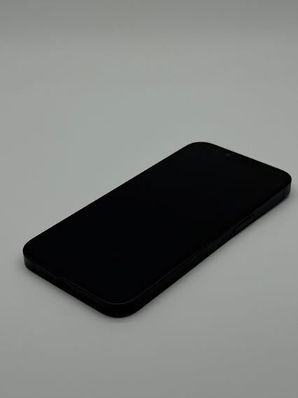 iPhone 16e 128Gb Back