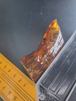 Копал молодой янтарь коллекционный 50 гр