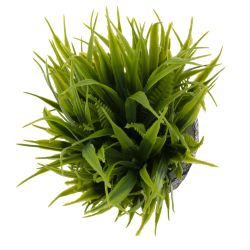 GAEM Цветочная композиция "Трава с папоротником", L12 W12 H17 см